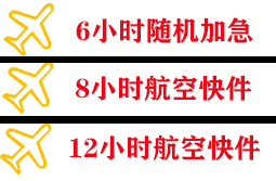 南洋机场空运快递公司,专业空运当天件
